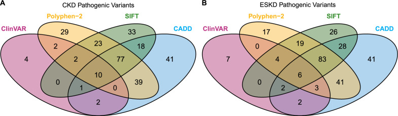 Whole exome sequencing and polygenic risk assessment for kidney functions and clinical management in both hospital-based cohort and population-based Asian cohorts.