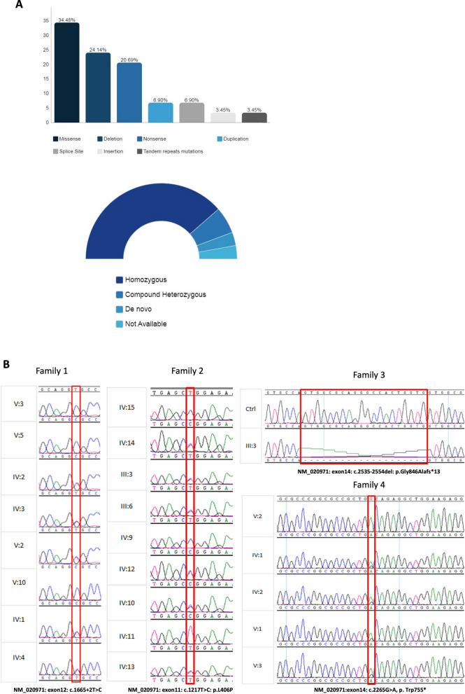Natural history of SPTBN4-related neurodevelopmental disorder with hypotonia, neuropathy, and deafness.