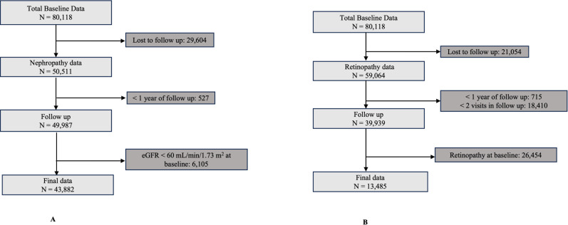 Development and Validation of DIANA (Diabetes Novel Subgroup Assessment tool): A web-based precision medicine tool to determine type 2 diabetes endotype membership and predict individuals at risk of microvascular disease.