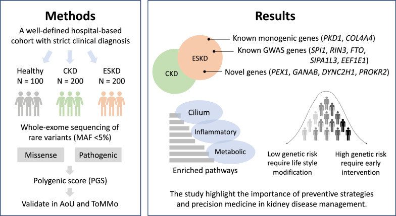 Whole exome sequencing and polygenic risk assessment for kidney functions and clinical management in both hospital-based cohort and population-based Asian cohorts.