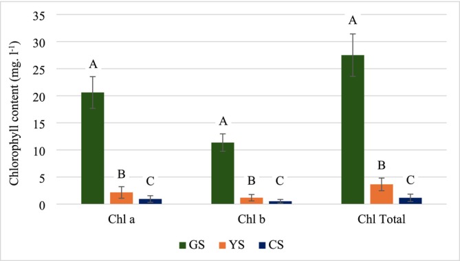 Chlorophyll Fluorescence, Oxygen Consumption Rates and Germination of Green Soybean Seeds Produced Under Heat-Drought Stress.