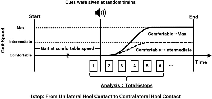 Kinematic control differs in walking speed adjustment to different velocities.