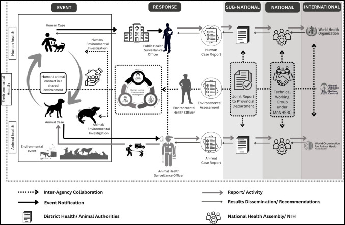 Towards Rabies Elimination in Pakistan: Barriers, Facilitators, and the Role of One Health.