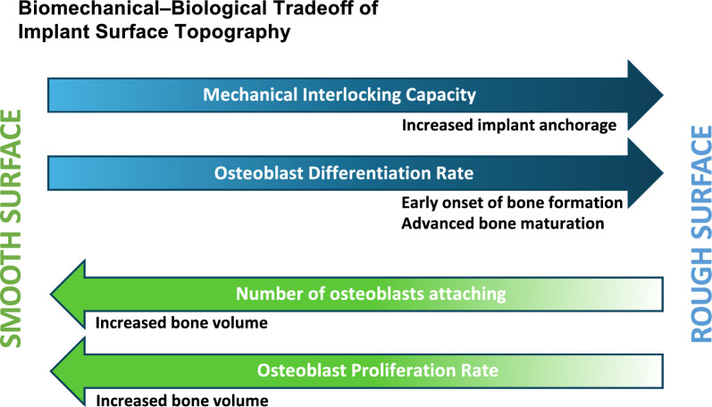 The 3D theory of osseointegration: material, topography, and time as interdependent determinants of bone-implant integration.