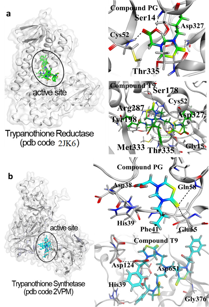 Establishment of THTT derivatives as potential antileishmanial and anti-inflammatory agents through in vitro and in silico investigations.