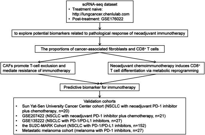 Cancer-associated fibroblasts and metabolic reprogramming predict pathologic response to neoadjuvant PD-1 blockade in resected non-small cell lung cancer.
