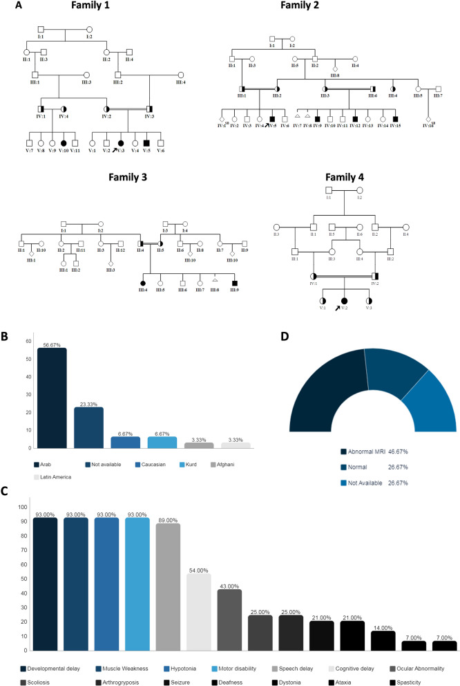 Natural history of SPTBN4-related neurodevelopmental disorder with hypotonia, neuropathy, and deafness.