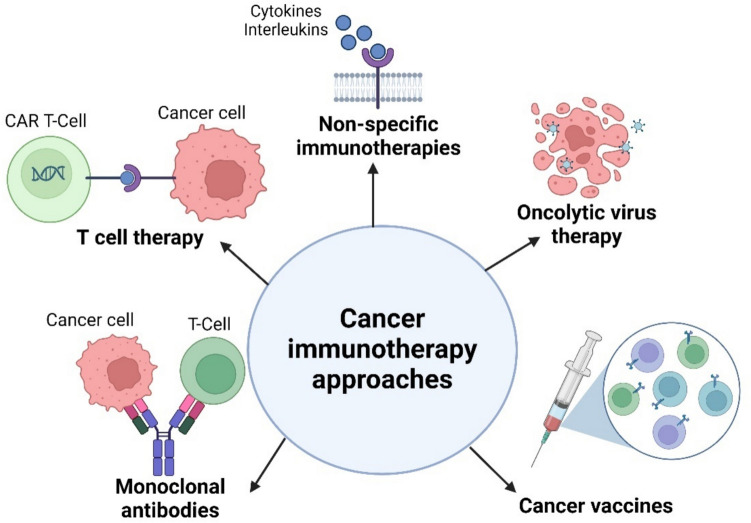 Lipid nanoparticles: a promising tool for nucleic acid delivery in cancer immunotherapy.