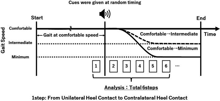 Kinematic control differs in walking speed adjustment to different velocities.