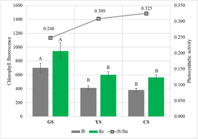 Chlorophyll Fluorescence, Oxygen Consumption Rates and Germination of Green Soybean Seeds Produced Under Heat-Drought Stress.