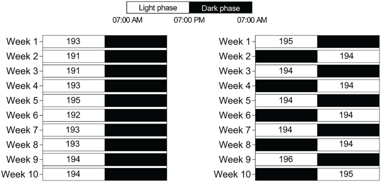 Chronic Phase Shifts Are Associated With Higher Systolic Blood Pressure and Impaired Glucose Tolerance Independently of Estrogen Deficiency in Female Spontaneously Hypertensive Rats.