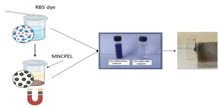 Development and characterization of magnetic polyethyleneimine-bamboo nanocellulose adsorbents for enhanced performance of dye pollutant removal.