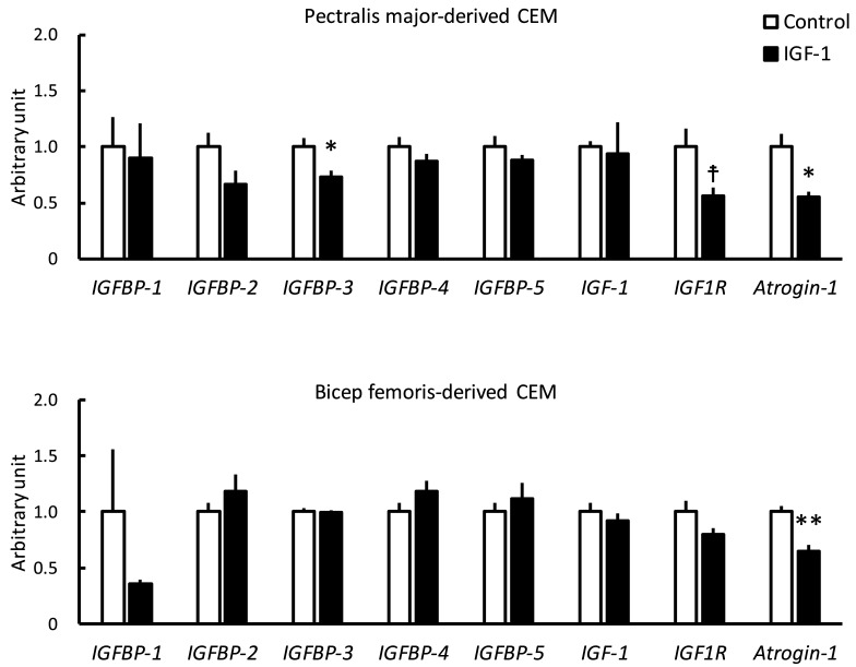 Fasting Induces Gene Expression of Insulin-like Growth Factor-binding Proteins in Skeletal Muscles of Chicks.