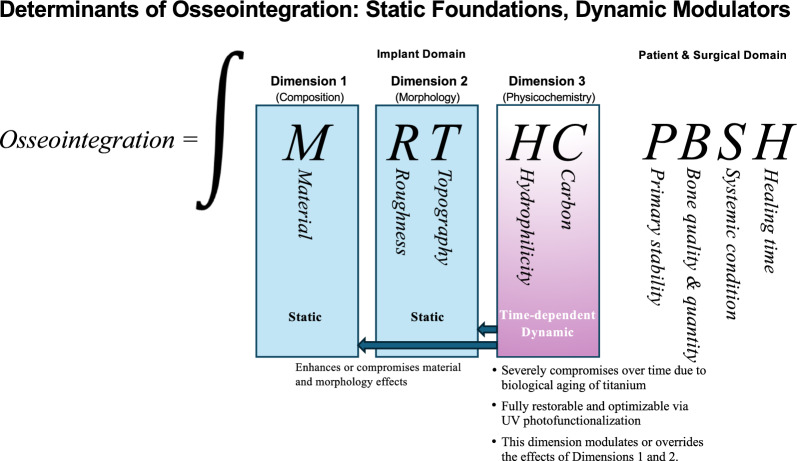 The 3D theory of osseointegration: material, topography, and time as interdependent determinants of bone-implant integration.