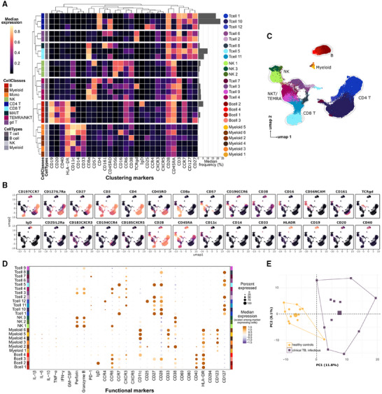 Granulysin Antimicrobial Activity Promotes Dormancy in Mycobacterium tuberculosis.