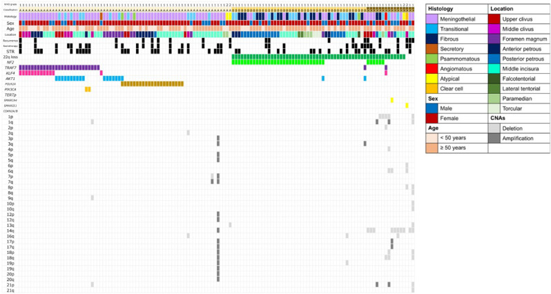 Integrated molecular and detailed anatomical profiling identifies a prognostically adverse subtype of posterior fossa meningiomas: high-risk copy number alterations are associated with midline predilection and predict poor prognosis.