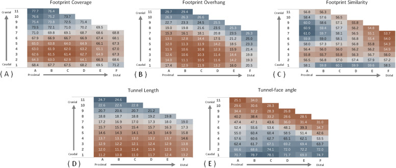 Three-dimensional analysis of femoral tunnel placement in canine cranial cruciate ligament reconstruction.