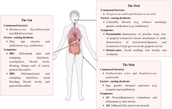 Microbiota-Host Interactions: Exploring Their Dynamics and Contributions to Human Diseases.