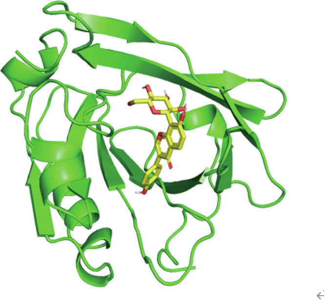 Evaluation of the antioxidant activity of the puerarin - β - lactoglobulin complex in vitro and in vivo.