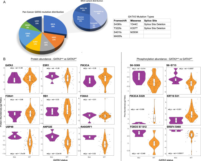 Genomic and proteomic profiling of GATA3 mutant metastatic hormone receptor-positive breast cancer and impact on clinical outcomes.