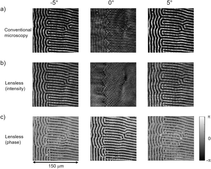 Lensless magneto-optical imaging.
