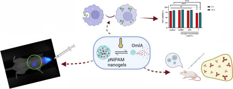 Recent advances in nanogels in veterinary medicine.