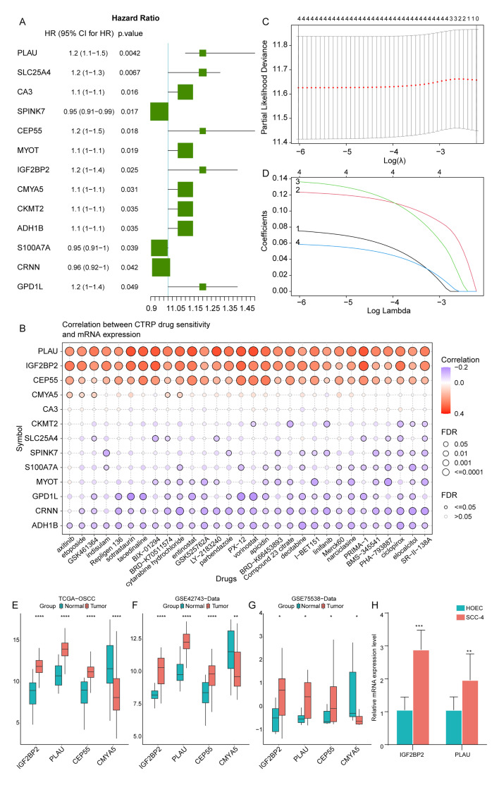 A Risk Score Model Based on Drug-Sensitivity-Related Genes Has the Potential to Predict Oral Squamous Cell Carcinoma Prognosis.