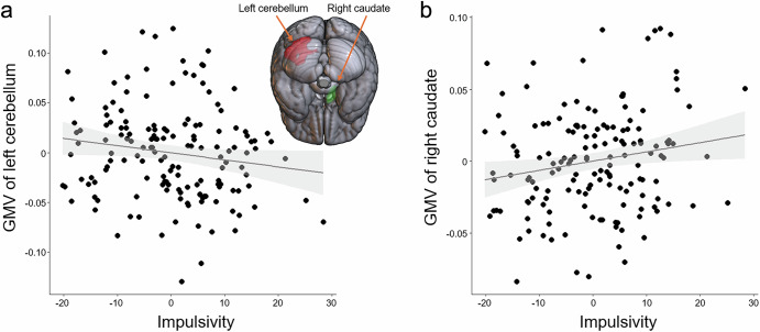Impact of impulsivity on the relationship of the brain structures with school performance.