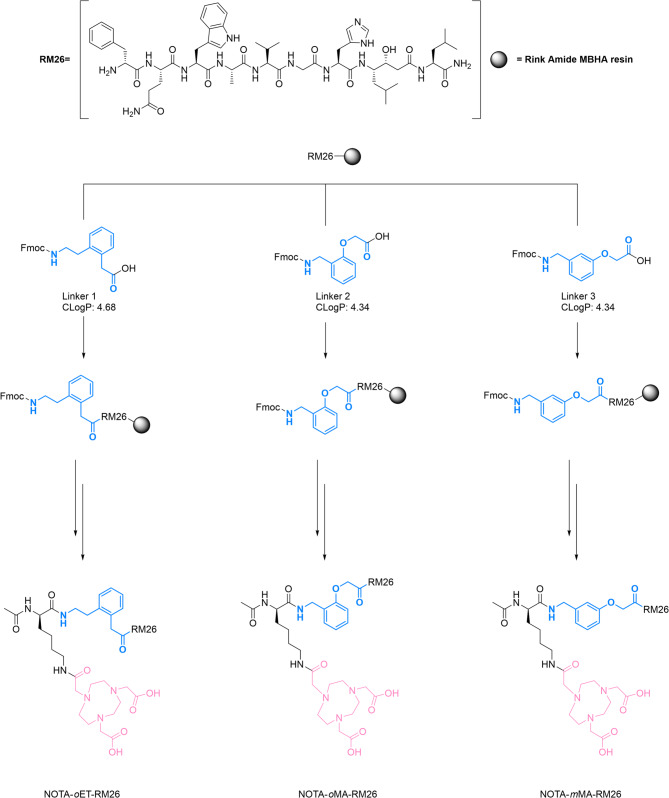 A preclinical study on the influence of linkers in [<sup>68</sup>Ga]Ga-NOTA-X-RM26 radiotracers for PET imaging of GRPR expression.