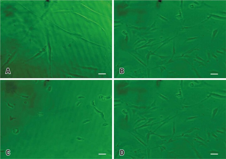 Vegetable peptones as a fetal bovine serum substitute in human deciduous tooth pulp stem cell culture.
