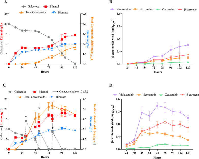 Metabolic engineering of Saccharomyces cerevisiae for neoxanthin production.