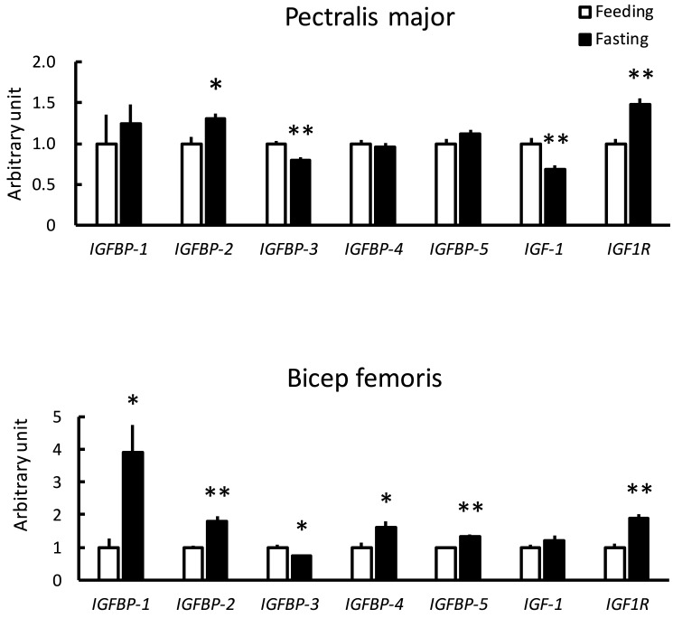 Fasting Induces Gene Expression of Insulin-like Growth Factor-binding Proteins in Skeletal Muscles of Chicks.
