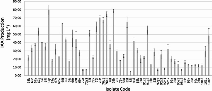 Cadmium removal and indole acetic acid production by ureolytic bacteria isolated from rhizosphere soils.
