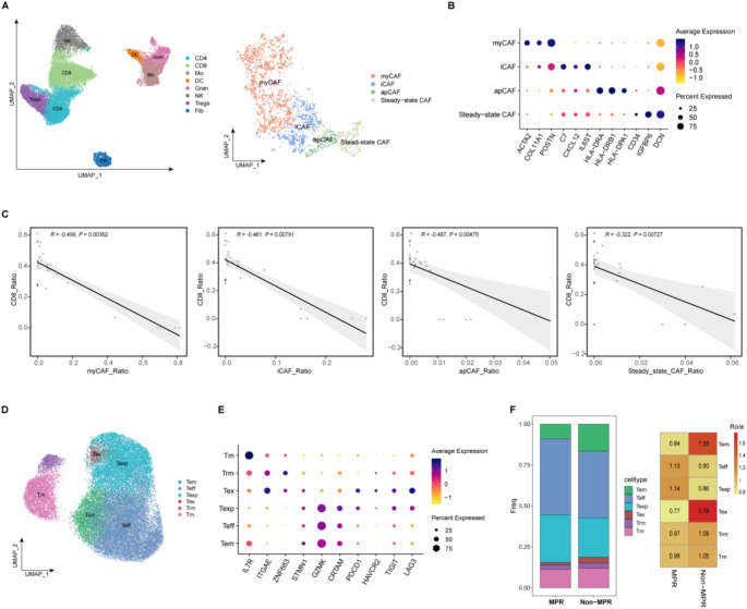 Cancer-associated fibroblasts and metabolic reprogramming predict pathologic response to neoadjuvant PD-1 blockade in resected non-small cell lung cancer.