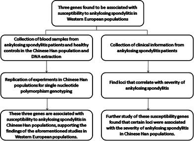 B3GNT2, GPR35, PSMG1 Gene Polymorphisms Are Related With Susceptibility and Severity of Ankylosing Spondylitis in Chinese Han Population.