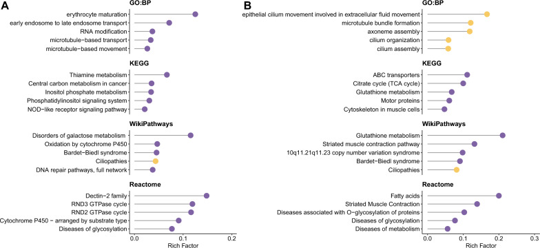 Whole exome sequencing and polygenic risk assessment for kidney functions and clinical management in both hospital-based cohort and population-based Asian cohorts.