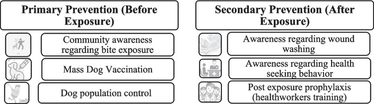 Towards Rabies Elimination in Pakistan: Barriers, Facilitators, and the Role of One Health.