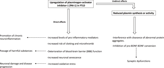 Mechanisms behind elevated serum levels of plasminogen activator inhibitor-1 in frontotemporal lobar degeneration.