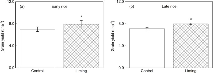 Liming promotes the leaching of carbon and nitrogen in a double-cropped rice system.