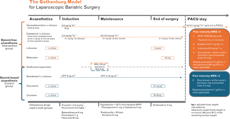 Effects of an opioid-free care pathway vs. opioid-based standard care on postoperative pain and postoperative quality of recovery after laparoscopic bariatric surgery: A multicentre randomised controlled trial.
