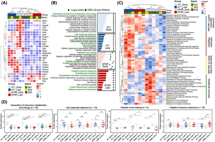 Peripheral blood proteome biomarkers distinguish immunosuppressive features of cancer progression.