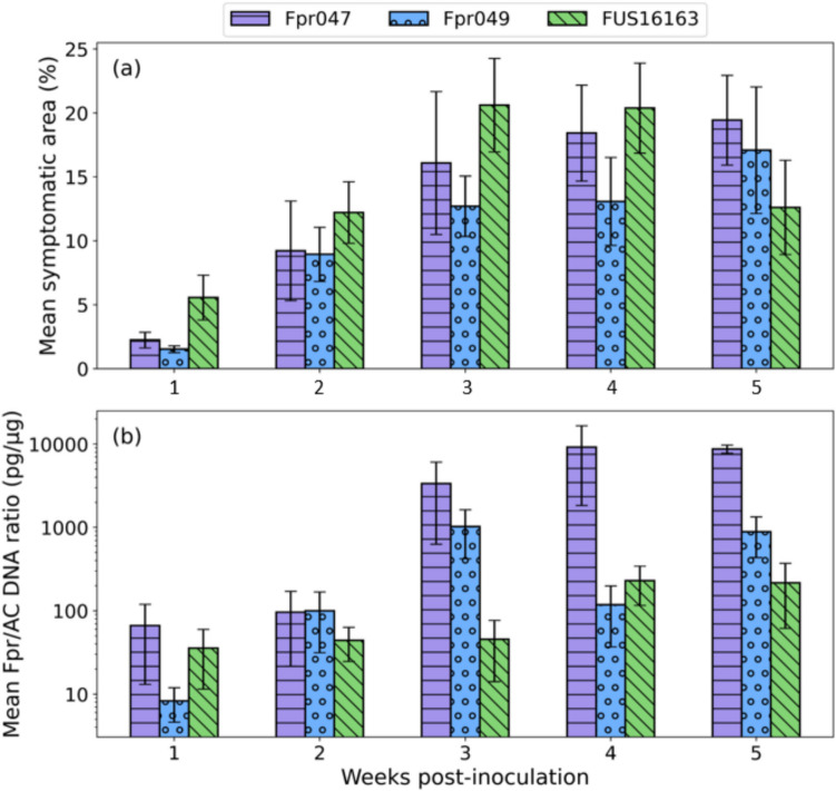 Fumonisin production and symptom development in onion (Allium cepa) inoculated with Fusarium proliferatum.