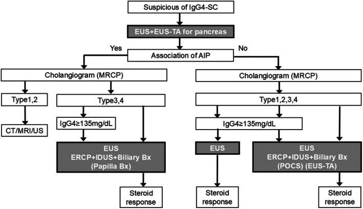 Endoscopic diagnosis of immunoglobulin G4-related sclerosing cholangitis.