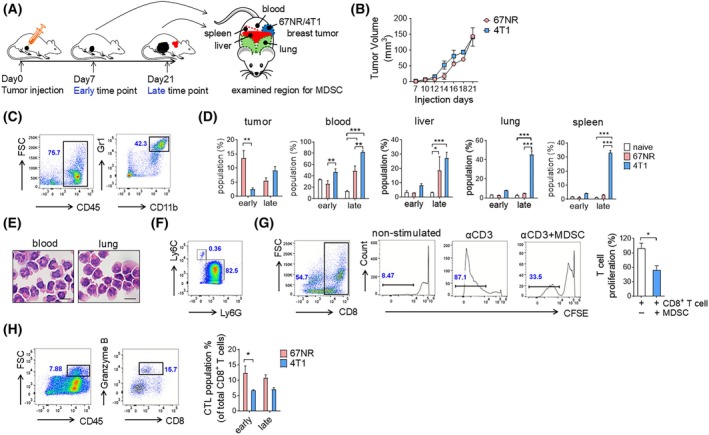 Peripheral blood proteome biomarkers distinguish immunosuppressive features of cancer progression.