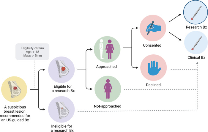 Selection biases in the systematic collection of breast biobank specimens.