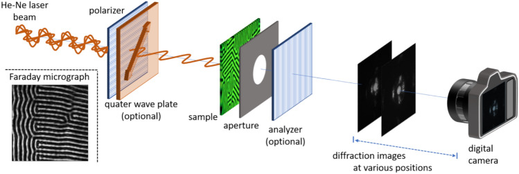 Lensless magneto-optical imaging.