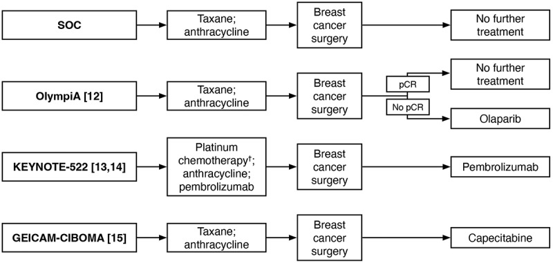 Patient preferences for treatment pathways in early-stage breast cancer: application of a discrete choice experiment.
