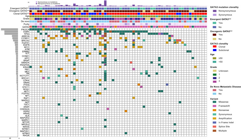 Genomic and proteomic profiling of GATA3 mutant metastatic hormone receptor-positive breast cancer and impact on clinical outcomes.