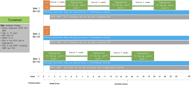 Efgartigimod following plasma exchange in the treatment of subjects with generalised myasthenia gravis: study protocol for a multicentre, three-arm, open-label study.