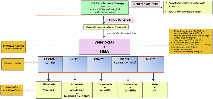 Newly diagnosed acute myeloid leukemia in unfit patients: 2026 treatment algorithms